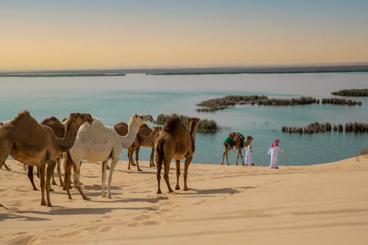 Eastern Province_Asfar Lake © VisitSaudi