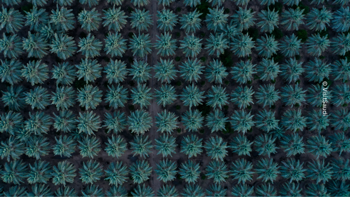 © RCU – © Royal Commission for AlUla (26)